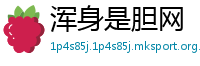 浑身是胆网